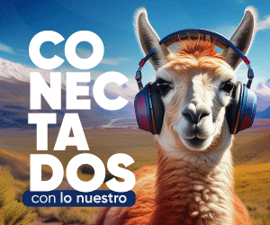 Publicidades